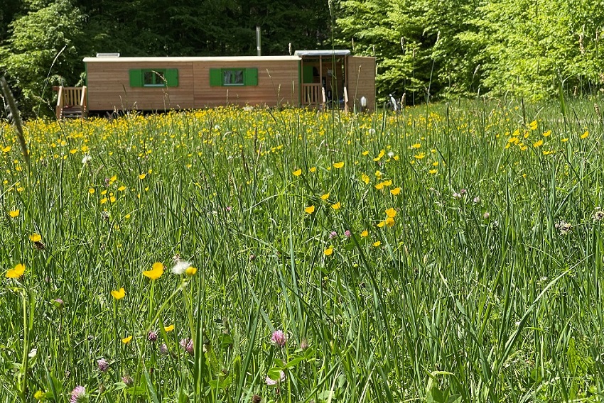 Bauwagen-Blumenwiese-SJansen.jpg