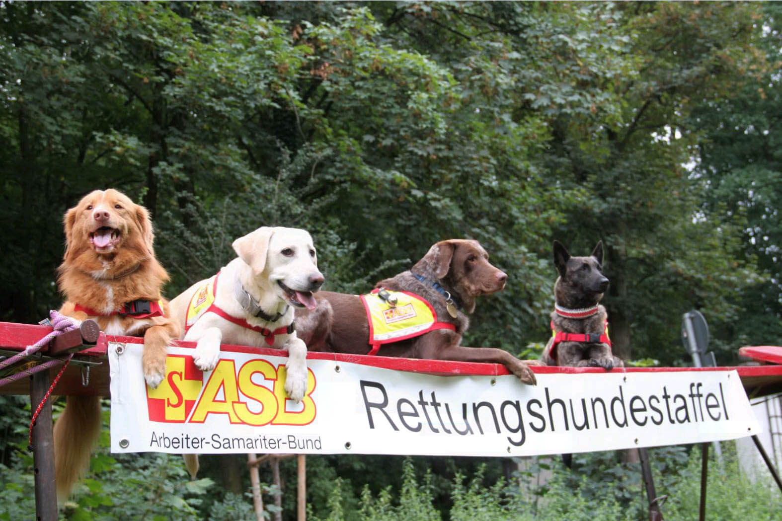 Isarinselfest-2017-ASB-Rettungshunde-OliverSold.jpg
