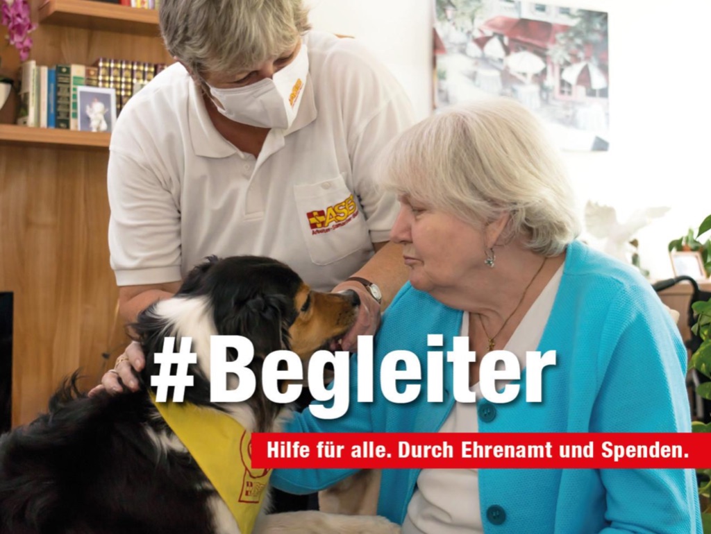 Kampagne-Besuchshunde-Begleiter.jpg