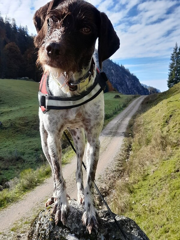 Leni_Portrait_weg.jpg