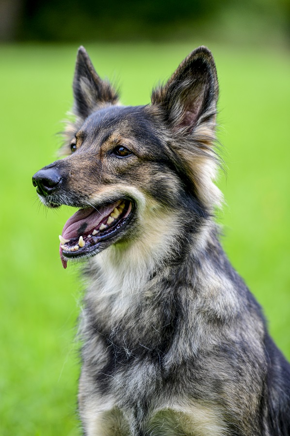 Mina-Portrait_klein.jpg