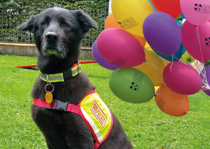 Hund mit Luftballon ohne Störer-1.jpg